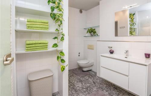 a white bathroom with a toilet and a sink at Gorgeous Apartment In Vir With Kitchen in Vir