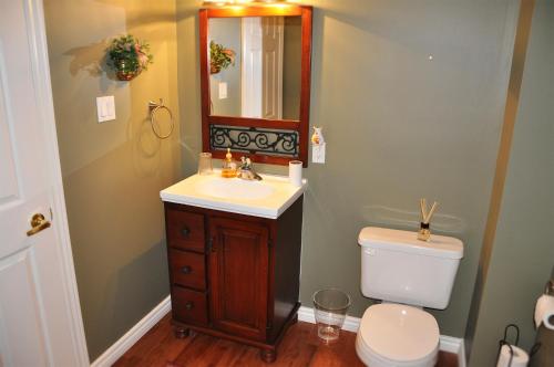 a bathroom with a sink and a toilet at Forest Hill Bed and Breakfast in Kitchener