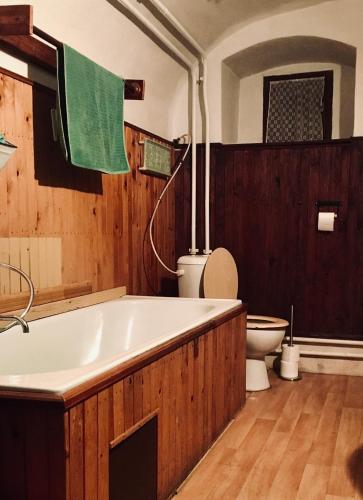a bathroom with a bath tub and a toilet at Chalupa Šanov u Králík in Červená Voda