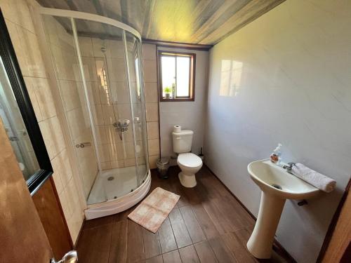 a bathroom with a shower and a toilet and a sink at Domos chucauco in Villarrica
