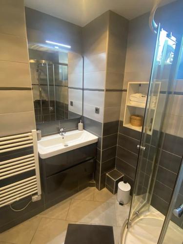 une salle de bain avec un lavabo et une douche dans l'établissement Appartement, au cœur de Sallanches, à Sallanches