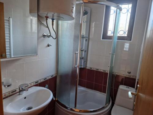 a bathroom with a shower and a sink and a toilet at Apartmani - Mesko vajat in Divčibare