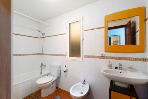 a bathroom with a toilet and a sink and a mirror at Apartamento Coral in La Jaca
