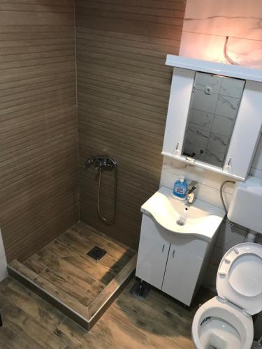 uma casa de banho com um chuveiro, um WC e um lavatório. em Apartman sa bracnim krevetom em Kraljevo