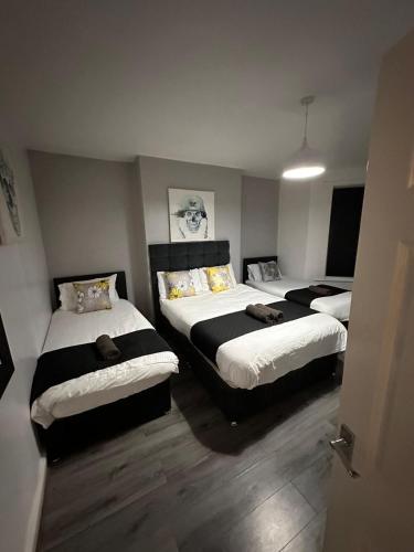 a room with two beds in a room at Melior Grandiose in Liverpool