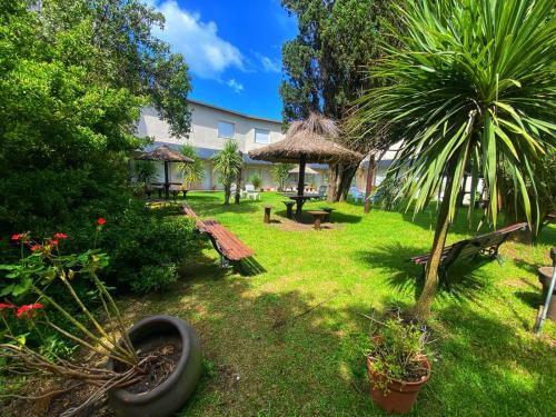 einen Hof mit einer Bank und einer Palme in der Unterkunft Hotel El Faro in Villa Gesell