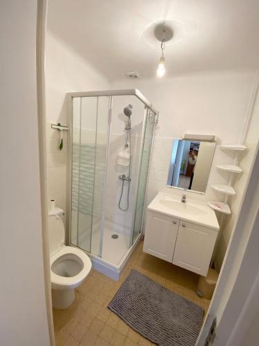 une salle de bain avec une douche, des toilettes et un lavabo dans l'établissement LES Herbus angle rue de l'avant-garde et 31 rue Jérémie, à Genêts