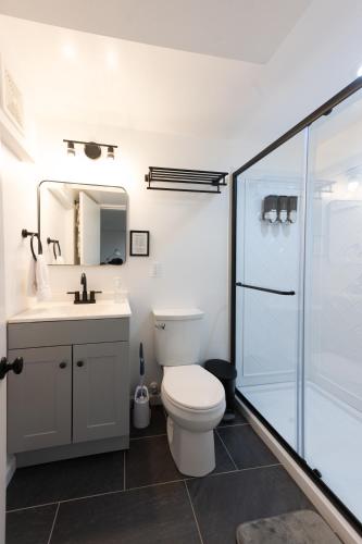 a bathroom with a toilet and a sink and a shower at Newly-renovated 5BR home near UVA, Downtown, i64 in Charlottesville
