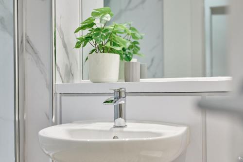 a bathroom sink with a mirror and a potted plant at Host & Stay - Ropewalks Quarters in Liverpool
