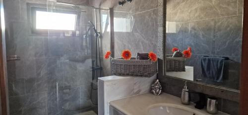 uma casa de banho com um chuveiro, um lavatório e um espelho. em Casa De Nefertiti em Playa Blanca