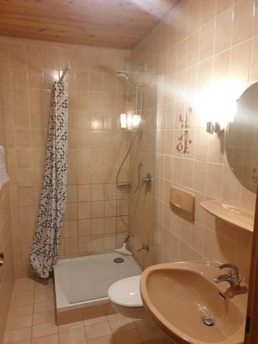 ein Bad mit einer Dusche, einem WC und einem Waschbecken in der Unterkunft Landhaus Bad Rotenfels - Zion in Gaggenau