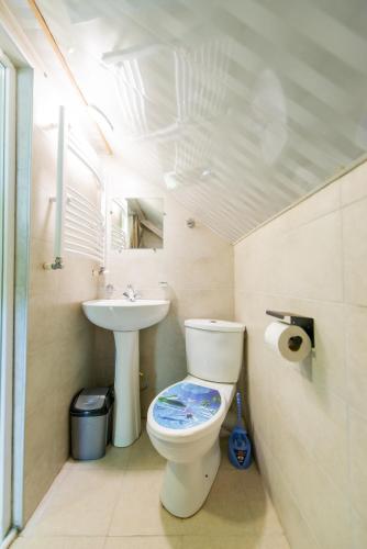 a bathroom with a toilet and a sink at Gudauri private cottage in Gudauri