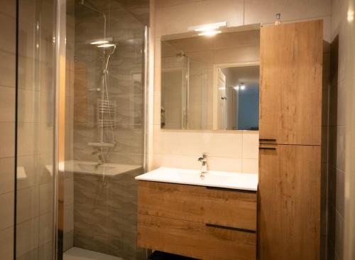 a bathroom with a sink and a shower at Le jardin de Christine in Saint-Martin-dʼHères