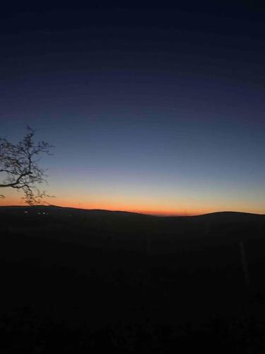 a sunset in the sky with a tree in the foreground at An Teach Uachtarach in Omagh