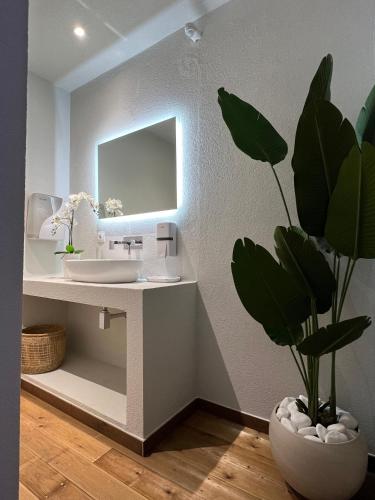 a bathroom with a sink and a mirror and a potted plant at Muthee Luxurious Private Villa in Laganas