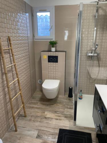une salle de bain avec toilettes et douche dans l'établissement Joli Rez de jardin 4 pièces à Cagnes sur Mer, à Cagnes-sur-Mer