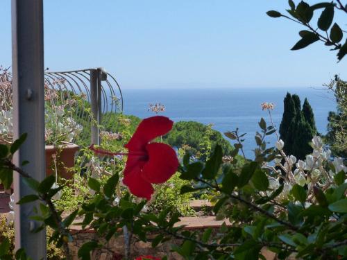 Capo D'ArcoにあるVilla delle Palme - Goelbaのギャラリーの写真