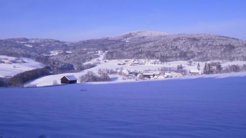 a large snow covered field with a town in the background at Landgut Stetter in Schöllnach