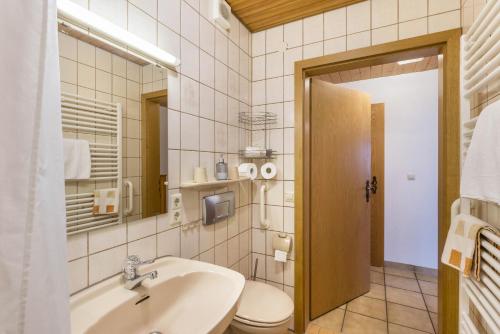 a bathroom with a sink and a toilet at Ferienhaus Toni in Hohenstein