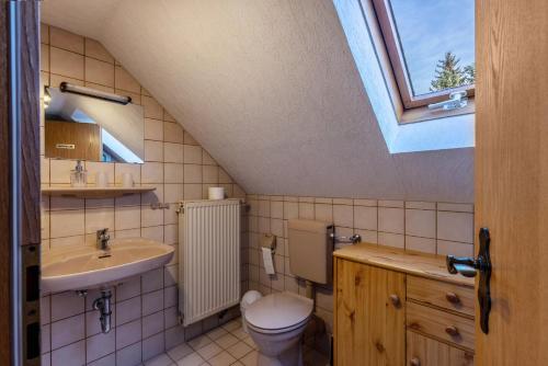 a bathroom with a toilet and a sink and a window at Ferienhaus Toni in Hohenstein