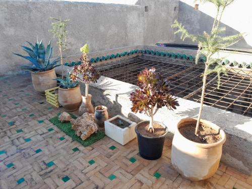 riad dar sofia fez – Photos 4
