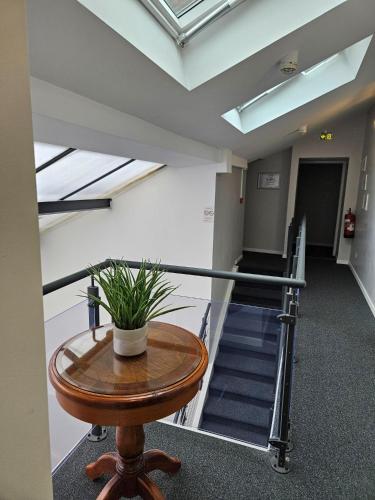 a room with a table with a plant on it at Hotel Le Bourgogne in Évian-les-Bains