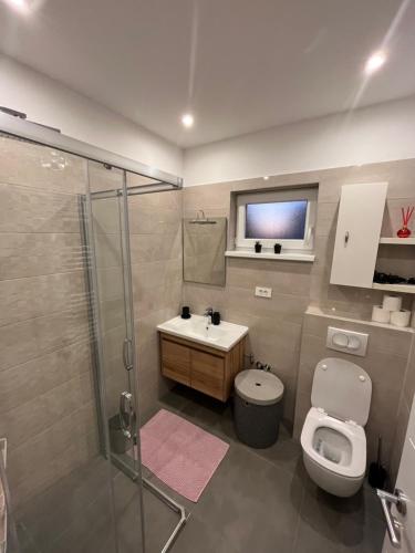 een badkamer met een toilet, een wastafel en een douche bij Marina 2 in Sesvete