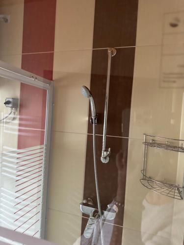 y baño con ducha con cabezal de ducha. en Sissi Apartment en Ausserfragant
