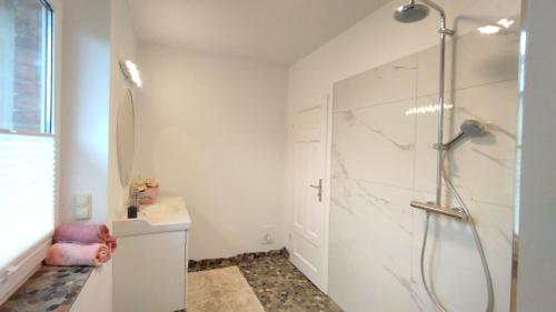 a bathroom with a shower and a sink at "Haus Landgang" für Naturliebhaber, strandnah, ruhig, mit großem Garten in Pepelow