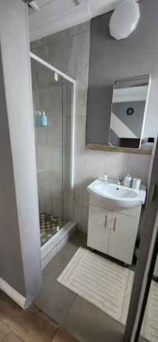 a bathroom with a white sink and a shower at 20 Fisant Cottage in Cape Town