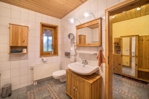 a bathroom with a sink and a toilet at Ferienhaus Sonne Harz und Sterne in Hohegeiß