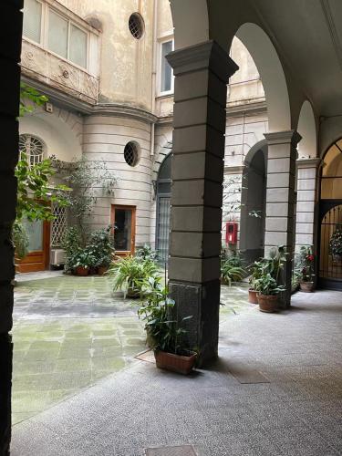 Suite del Plebiscito