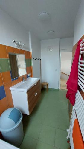 y baño con lavabo y aseo. en Dům Boubín en Vimperk