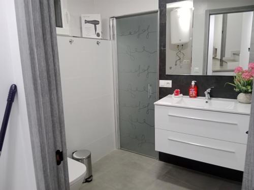 y baño con lavabo, aseo y espejo. en Apartamentos los carros 2 en Guadix