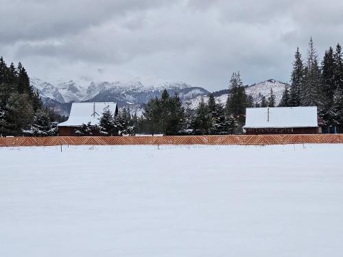 a snow covered field with buildings and snow covered mountains at Domek drewniany Szafran in Witów