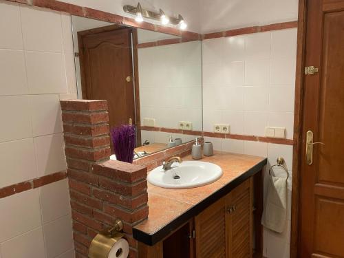 een badkamer met een wastafel en een spiegel bij Cal mosso in Collsuspina