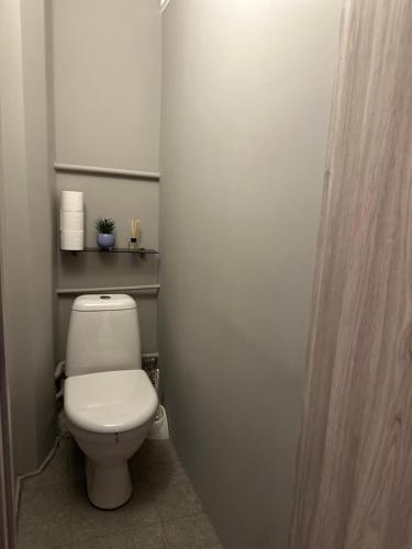 een badkamer met een wit toilet in een kamer bij Redroomas in Kėdainiai