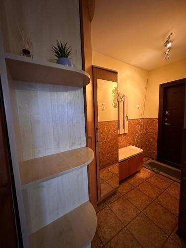 een badkamer met een toilet, een wastafel en een douche bij Redroomas in Kėdainiai
