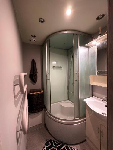 een badkamer met een douche en een wastafel bij Redroomas in Kėdainiai