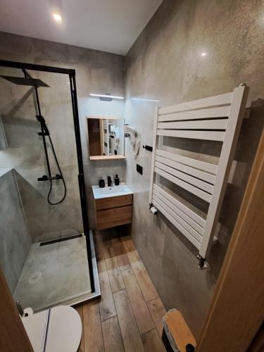 a bathroom with a shower and a sink at SkiBike House Stronie Śląskie in Stronie Śląskie