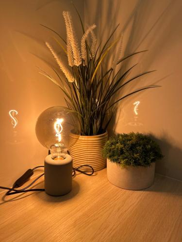 a light on a table with a potted plant at Lorans in Perstorp