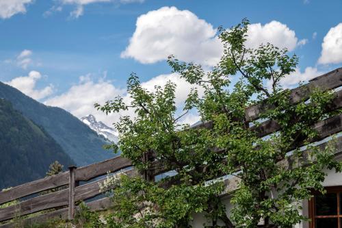 ファームステイから撮影された、または一般的な山の景色