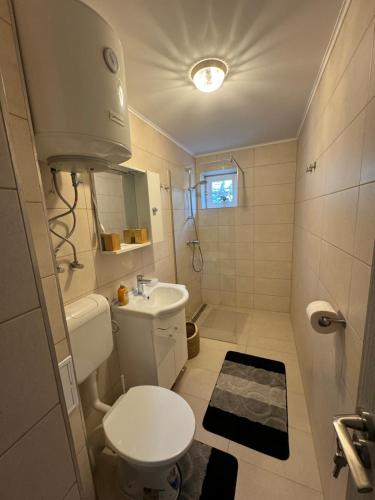 La petite salle de bains est pourvue de toilettes et d'un lavabo. dans l'établissement Apartament Andreas, à Băile Herculane