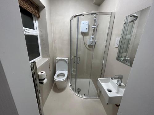 uma casa de banho com chuveiro, WC e lavatório em Rooms with En suite Contractors-Businesses-Relocator friendly em Luton