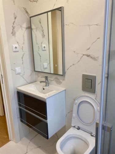 a bathroom with a toilet and a sink and a mirror at Casa Augusta 4 in Braga