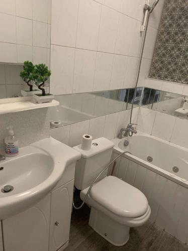 a bathroom with a sink and a toilet and a tub at Spacious 1 bedroom en-suite, kitchen and garden space in Ilford
