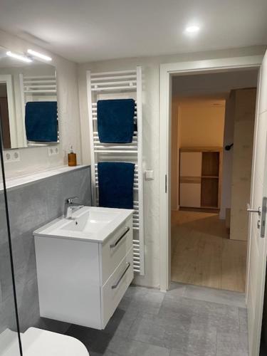 a bathroom with a white sink and a shower at FREIGEIST ZeitRaum in Haßloch