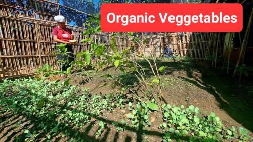 En have udenfor Oriental Siam Resort - SHA Extra Plus Certified