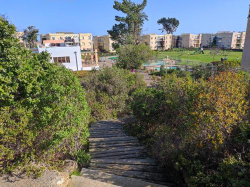 a wooden path with bushes and buildings in the background at Depto primer piso Quisco Norte in El Quisco