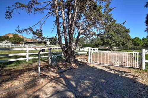 a tree in front of a white fence at Wine Country Ranch Escape in Buellton